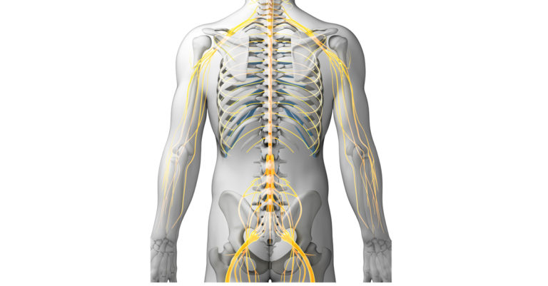 How a Herniated Disc Causes Pain in the Extremities