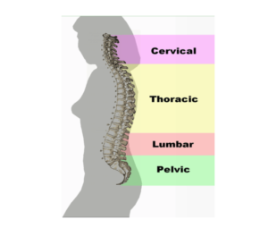 Understanding What a Pinched Nerve Means and How to Treat It